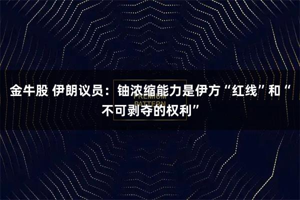 金牛股 伊朗议员：铀浓缩能力是伊方“红线”和“不可剥夺的权利”