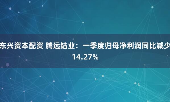 东兴资本配资 腾远钴业：一季度归母净利润同比减少14.27%